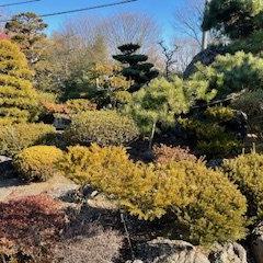  [売買2,480万円]NO.279大川（おおかわ）  物件写真
