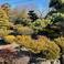  [売買2,480万円]NO.279大川（おおかわ）  物件写真